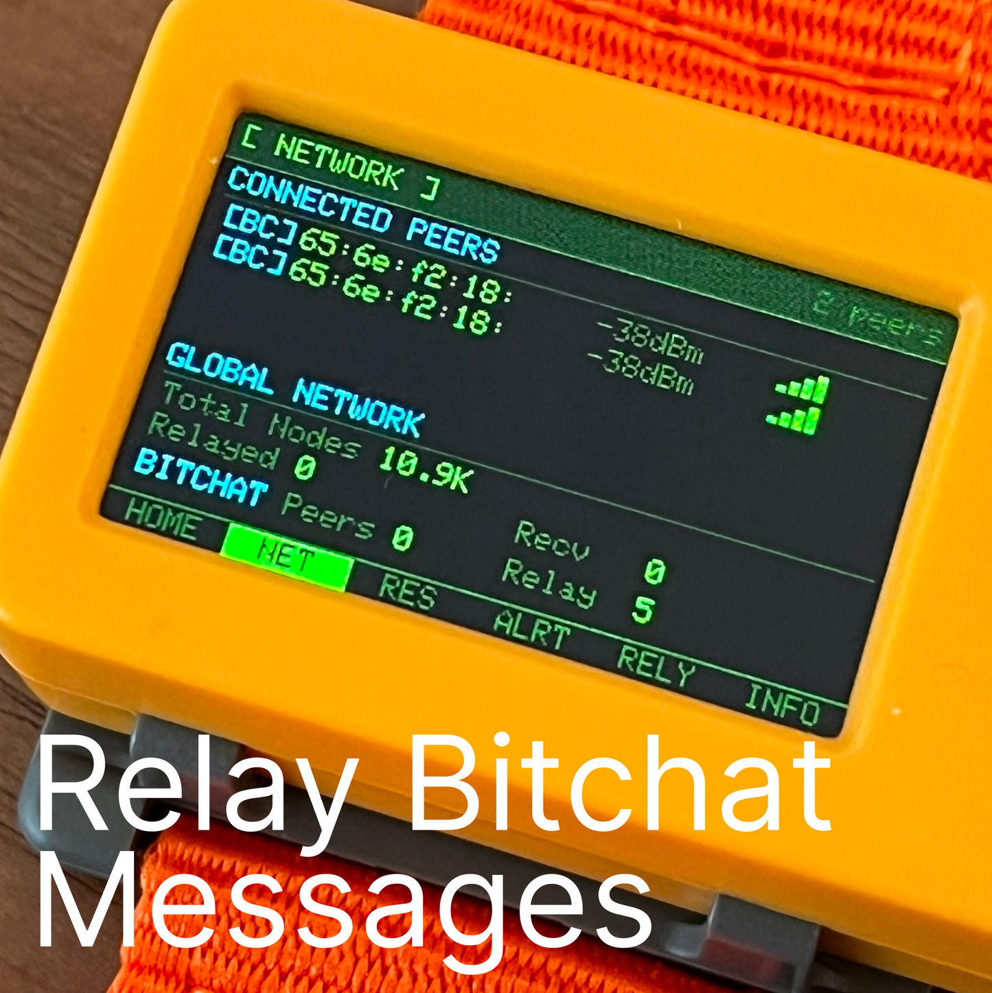 IntelligenceMesh (Dual-Protocol Mesh Node)