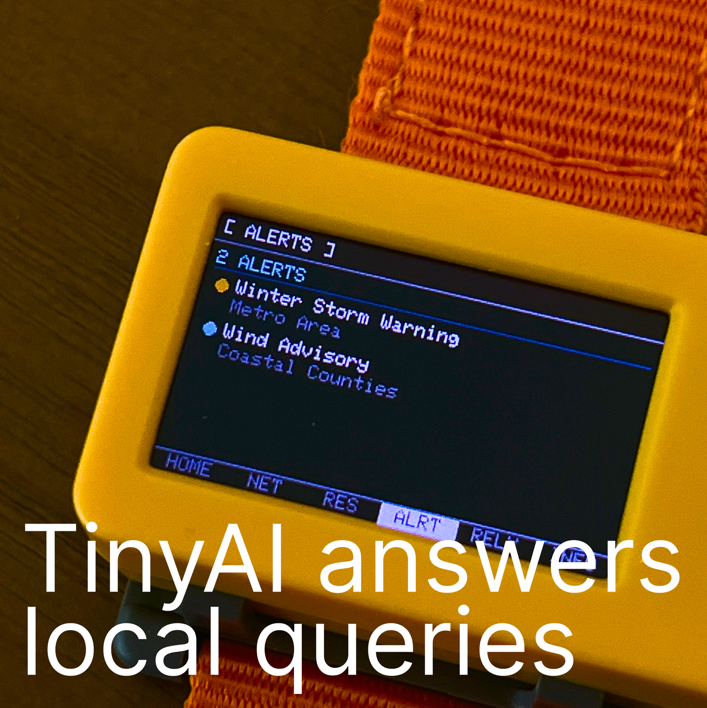 IntelligenceMesh (Dual-Protocol Mesh Node)