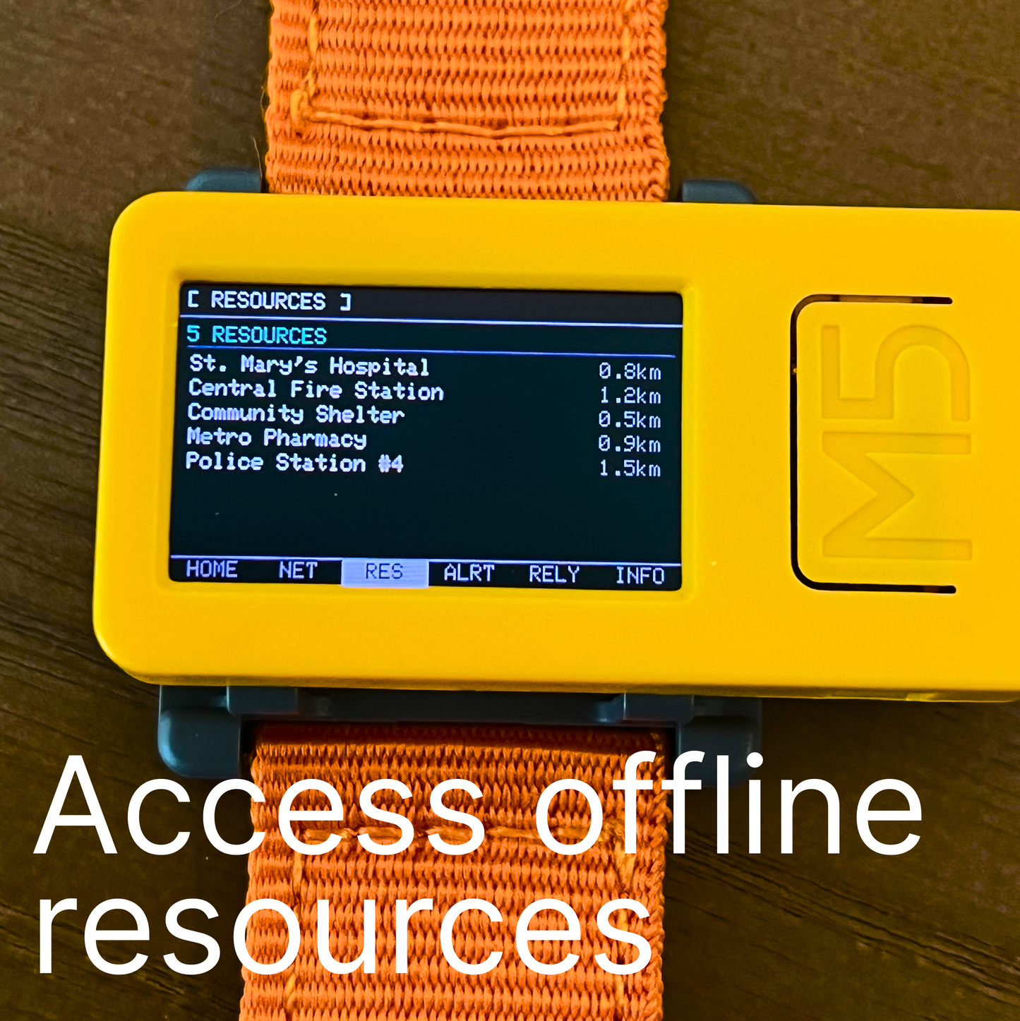 IntelligenceMesh (Dual-Protocol Mesh Node)