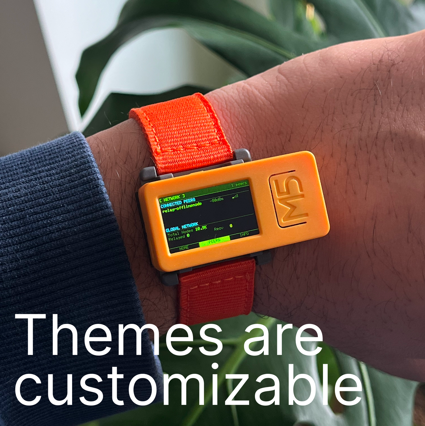 IntelligenceMesh (Dual-Protocol Mesh Node)