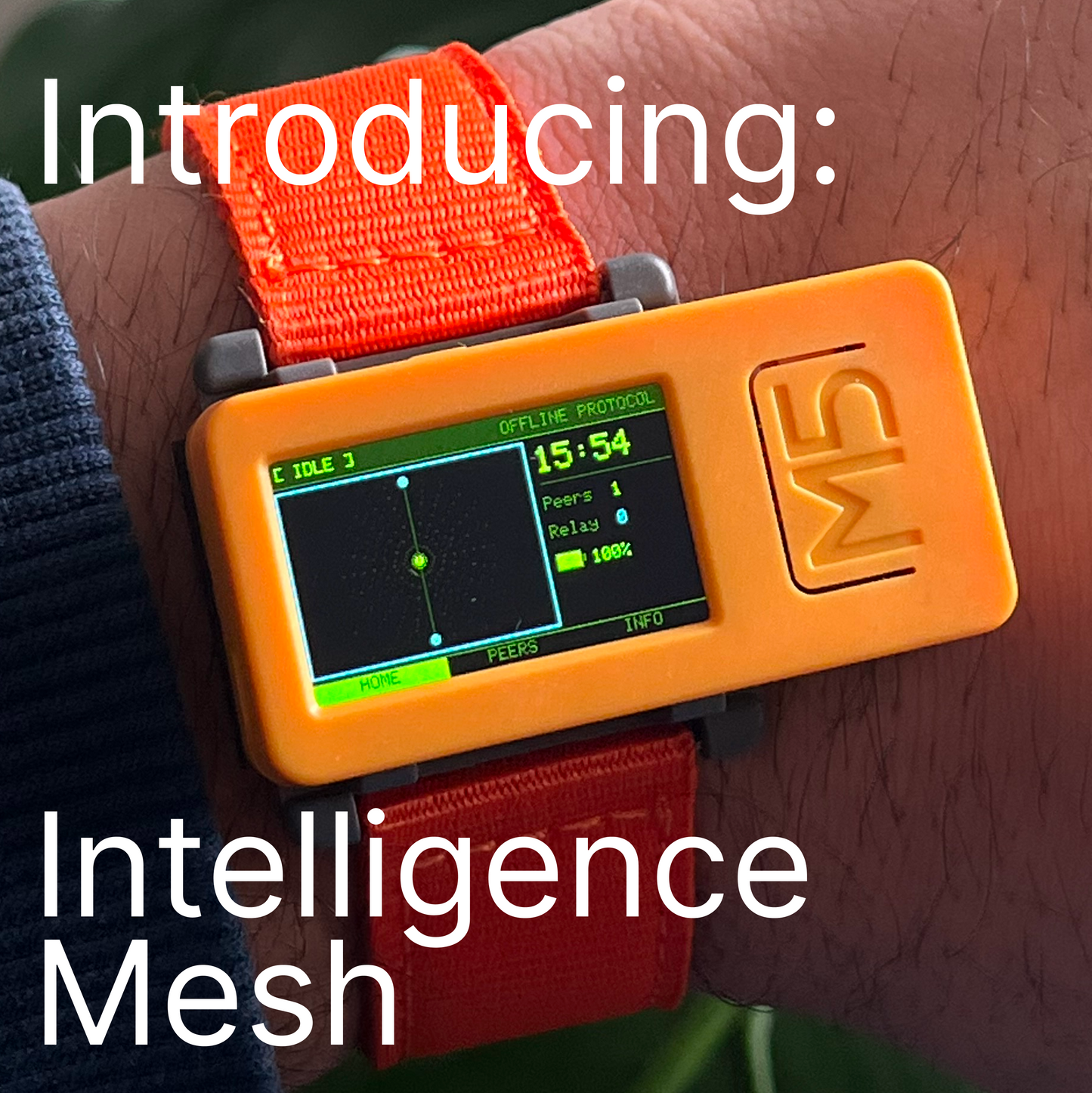 IntelligenceMesh (Dual-Protocol Mesh Node)