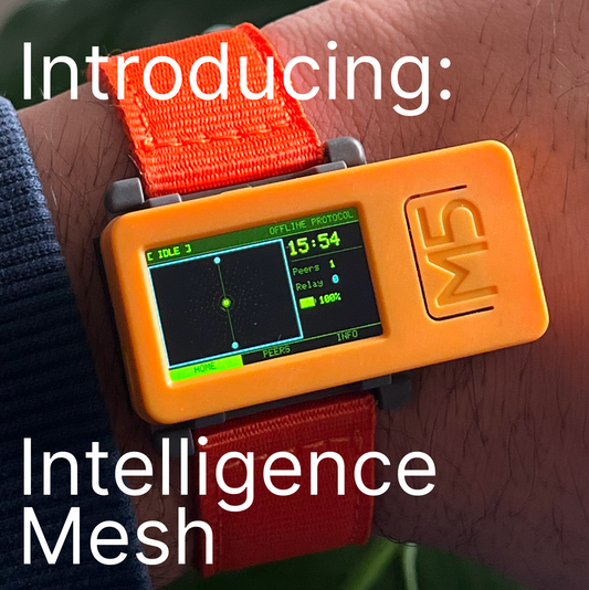 IntelligenceMesh (Dual-Protocol Mesh Node)